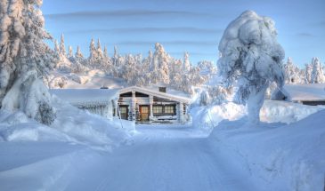 Srinagar Gulmarg Pahalgam Tour